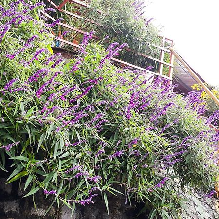Sapa Tatu Homestay 外观 照片