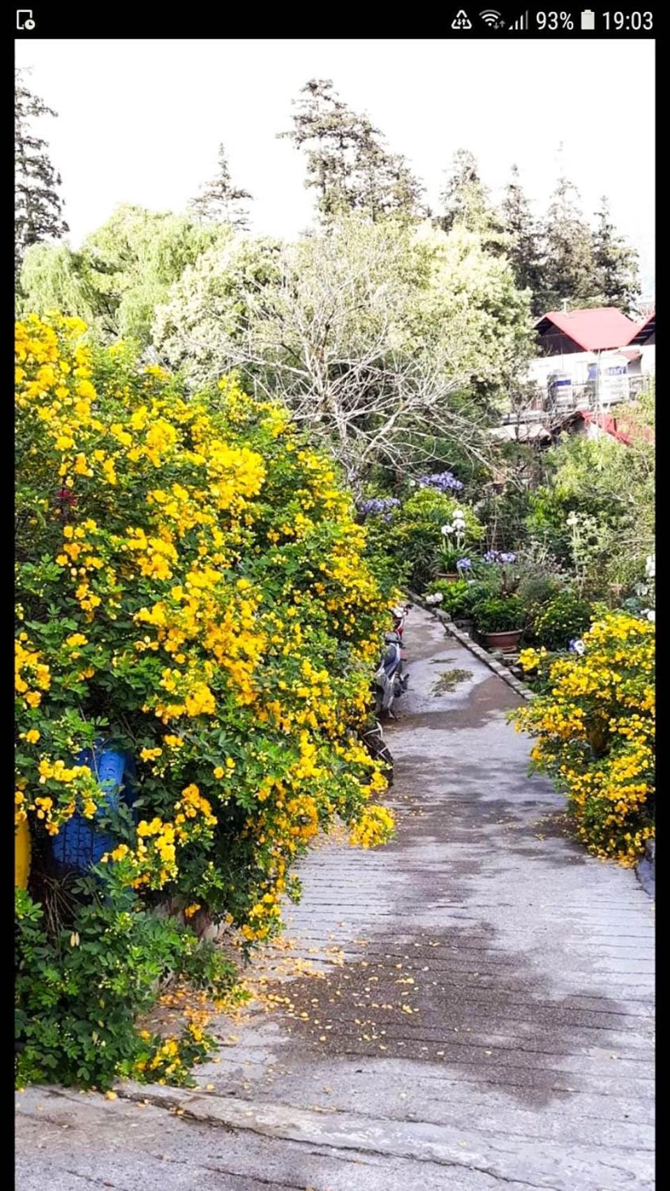 Sapa Tatu Homestay 外观 照片